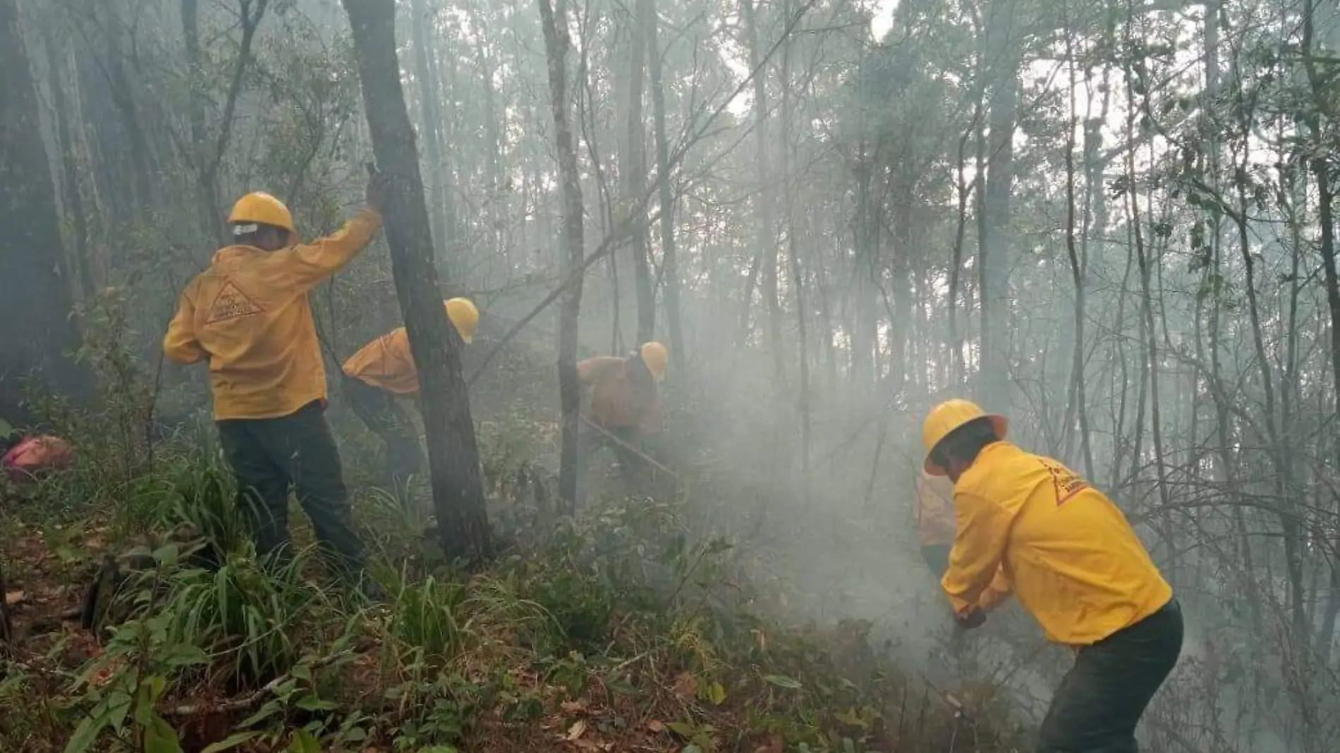 brigadistas combatiendo incendio